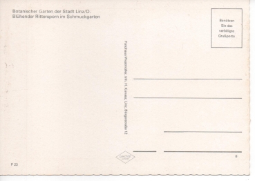 Ansichtskarte Botanischer Garten der Stadt Linz/D. - Blühender Rittersporn im Schmuckgarten
